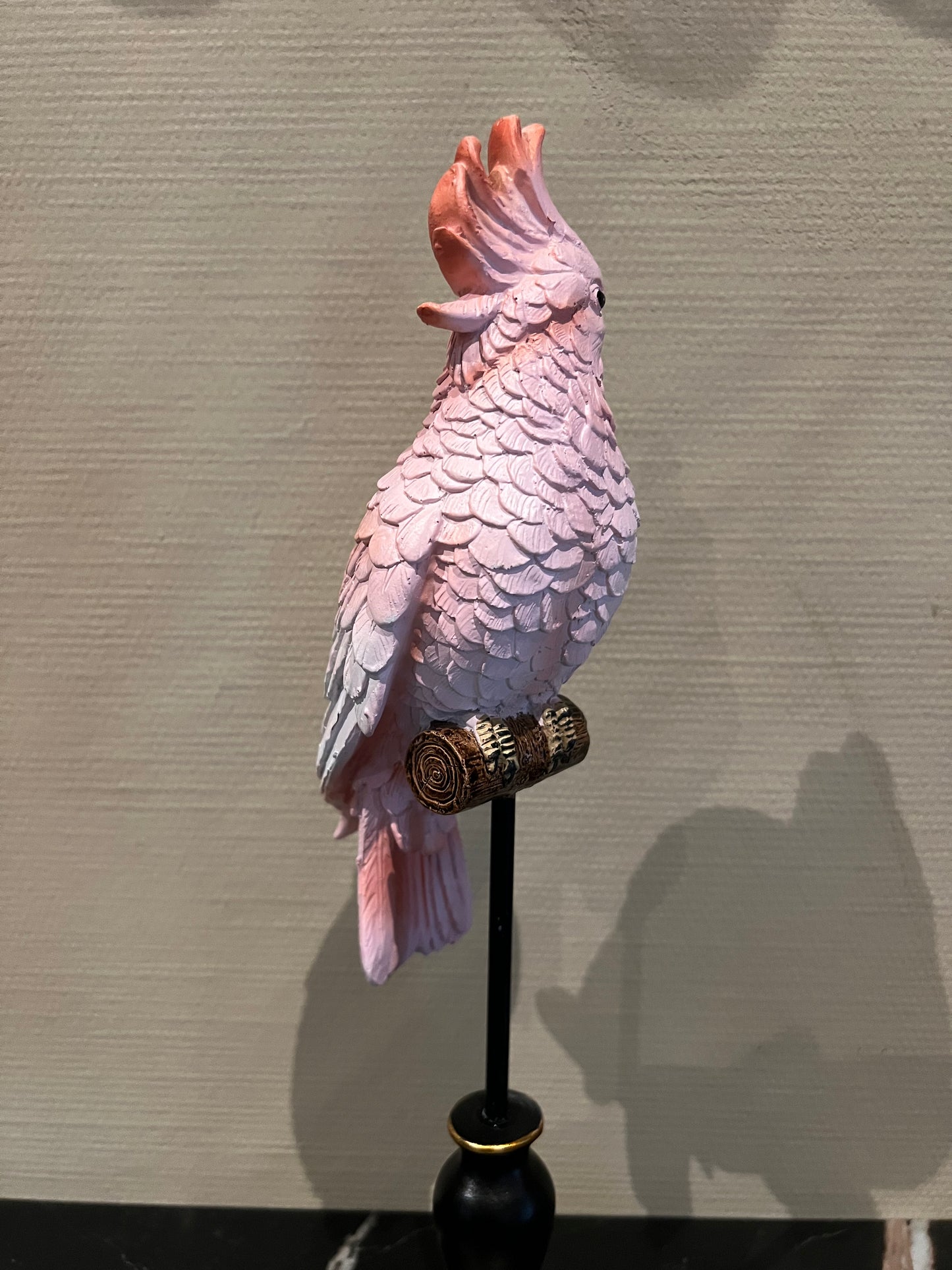 Roze kaketoe op zwarte voet
