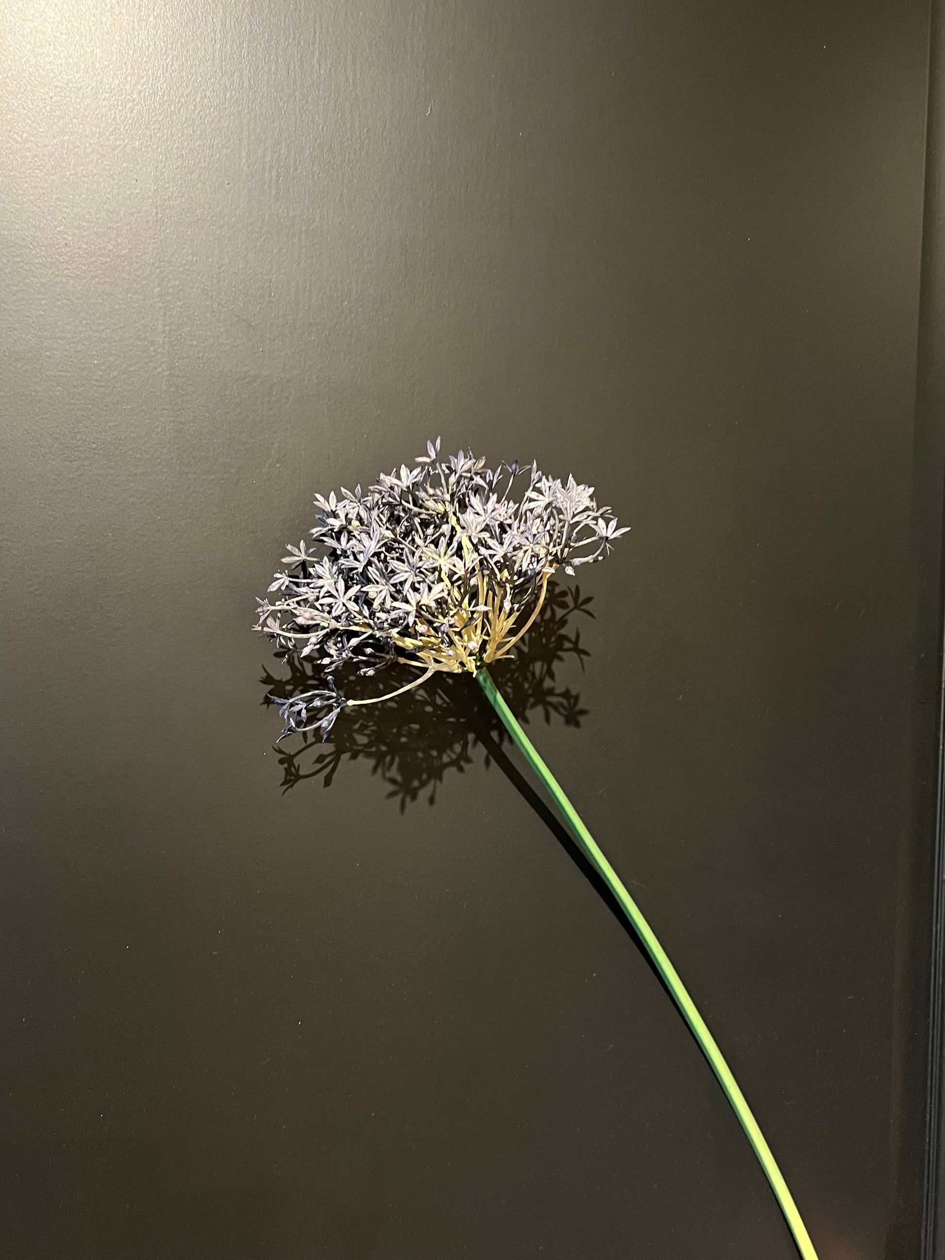 Kunst tak bol blauw