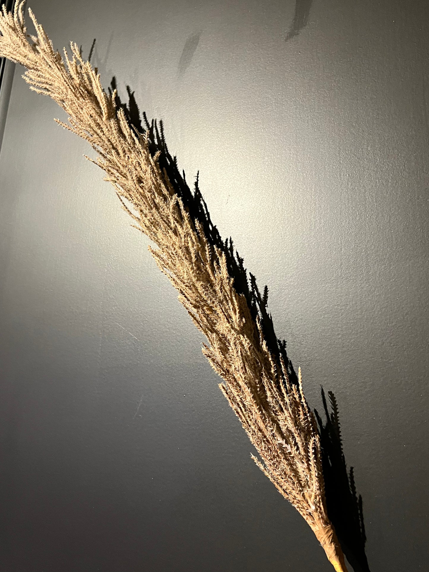 PTMD kunsttak pampas lichtbruin