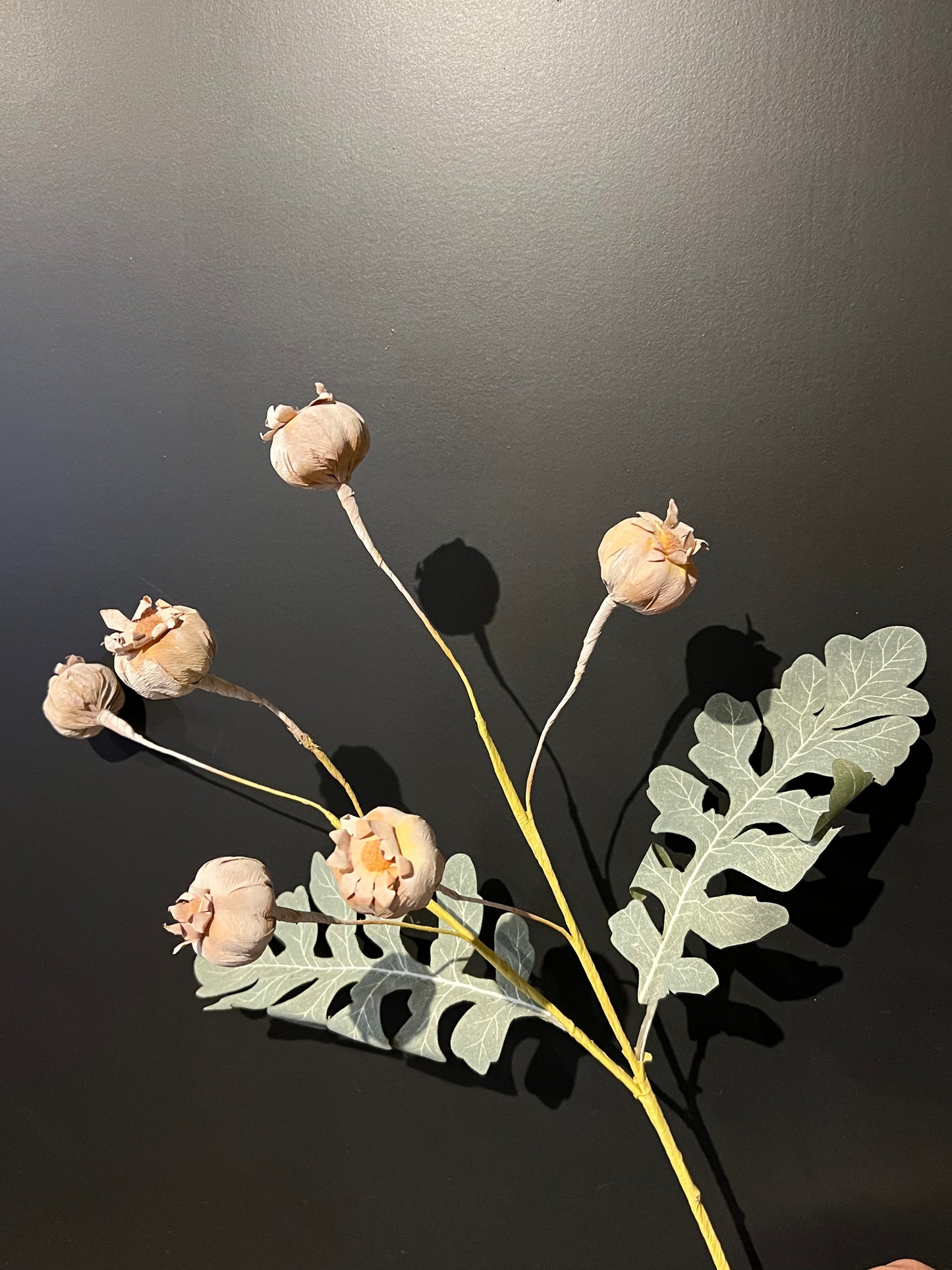 Kunst tak Papaver