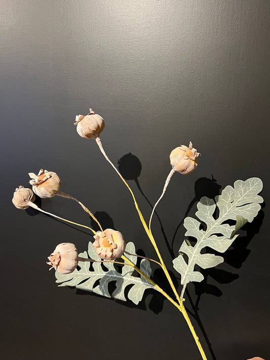 Kunst tak Papaver