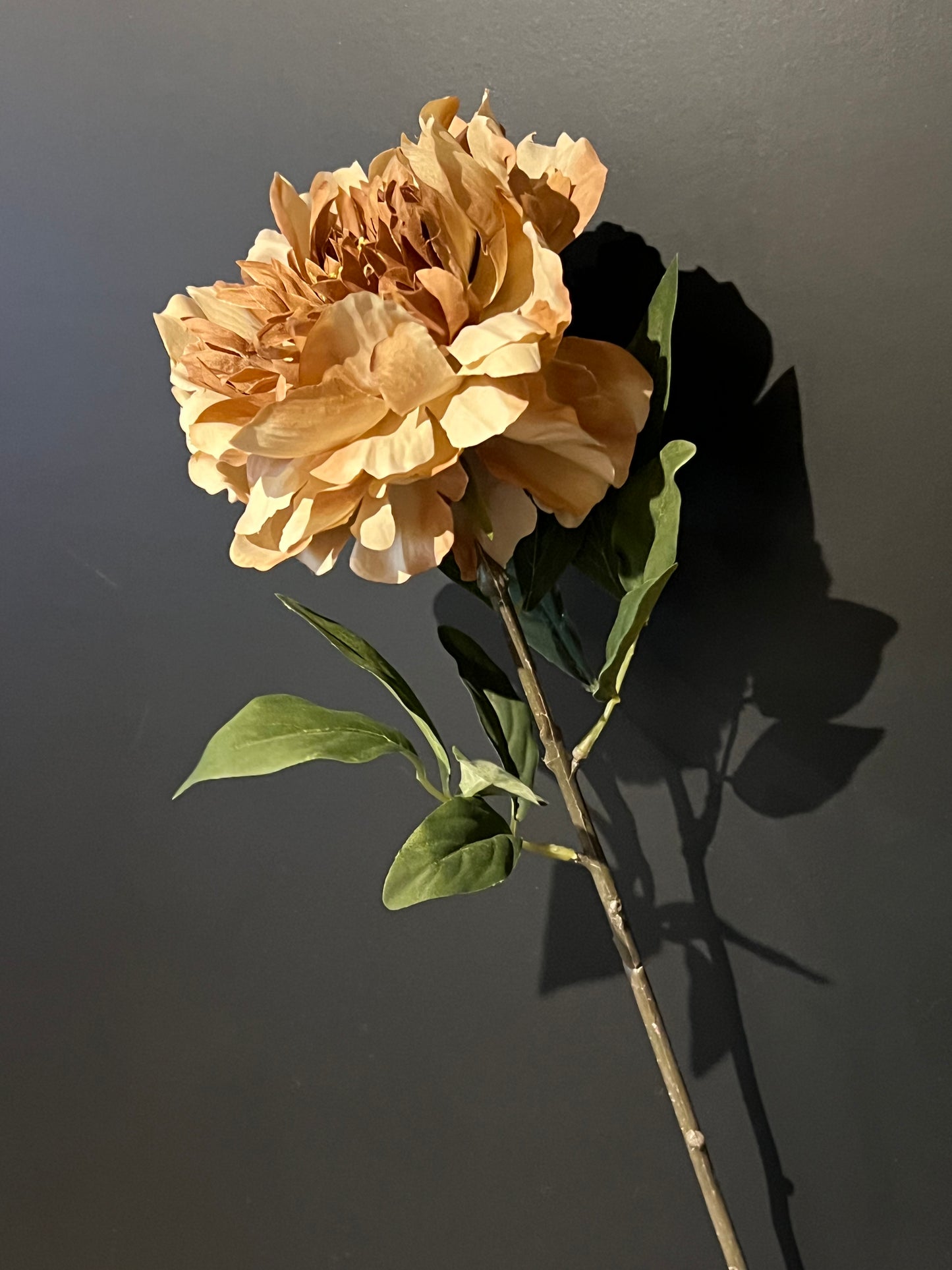 Kunstbloem pioen taupe