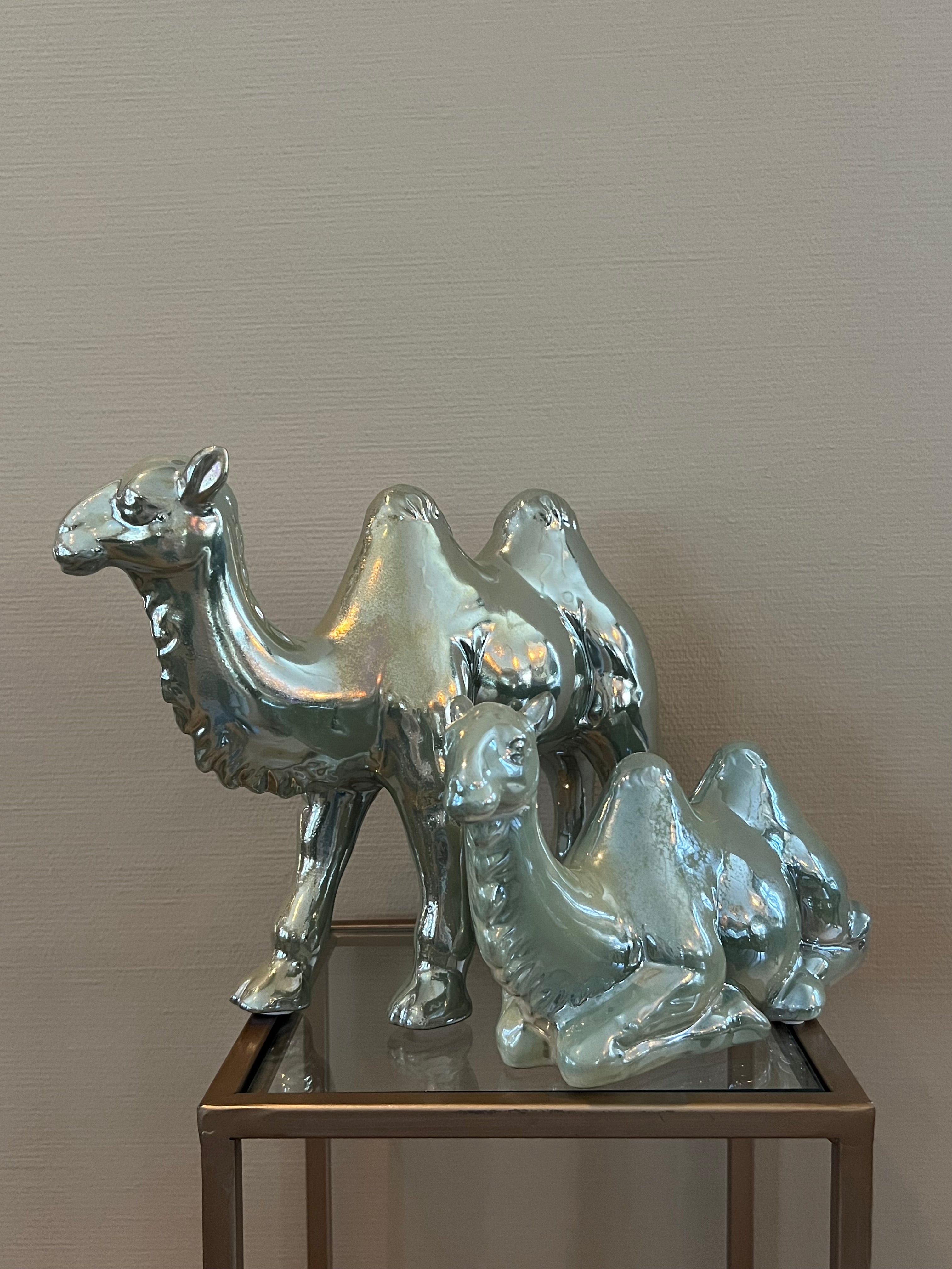 PTMD beelden set kamelen