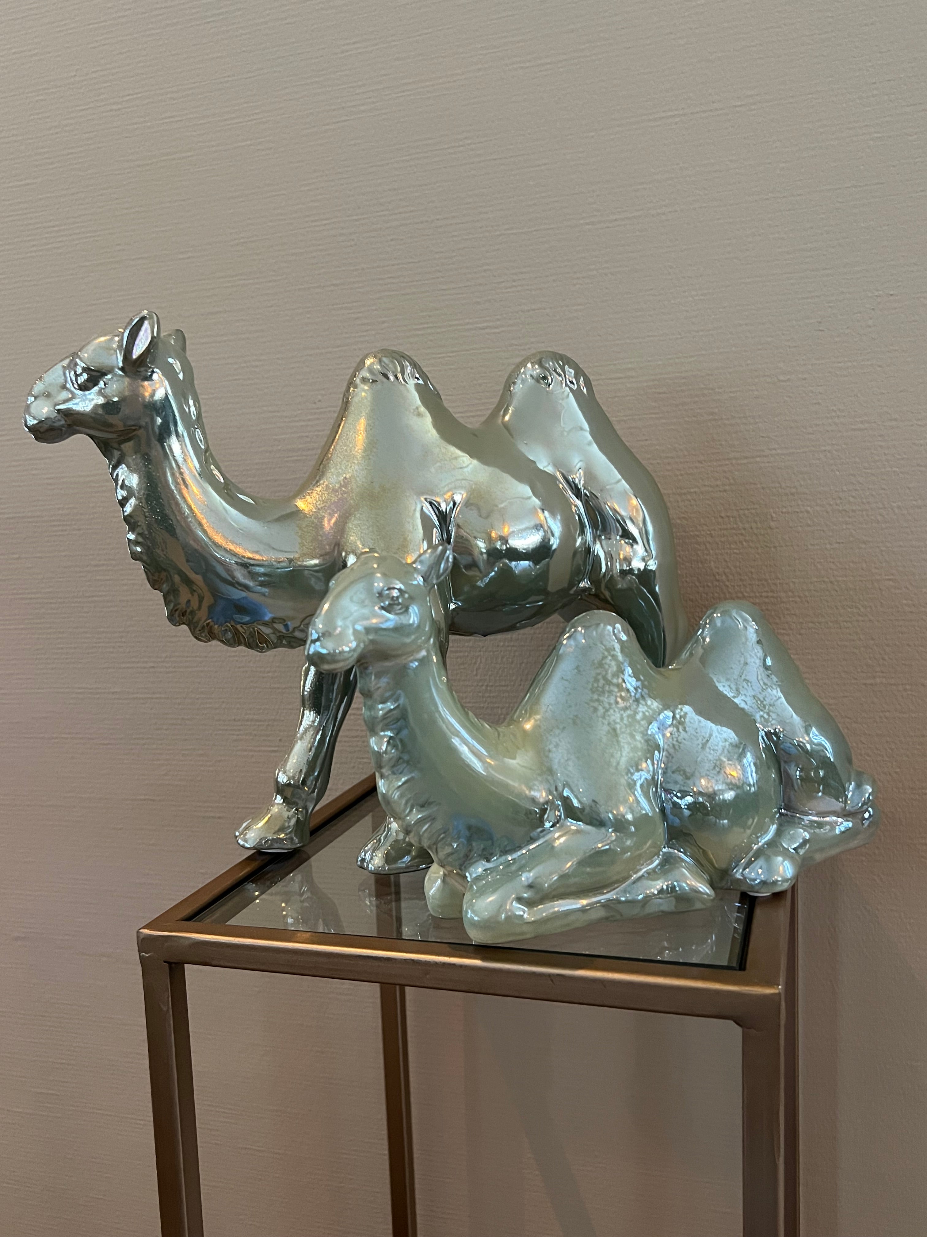 PTMD beelden set kamelen