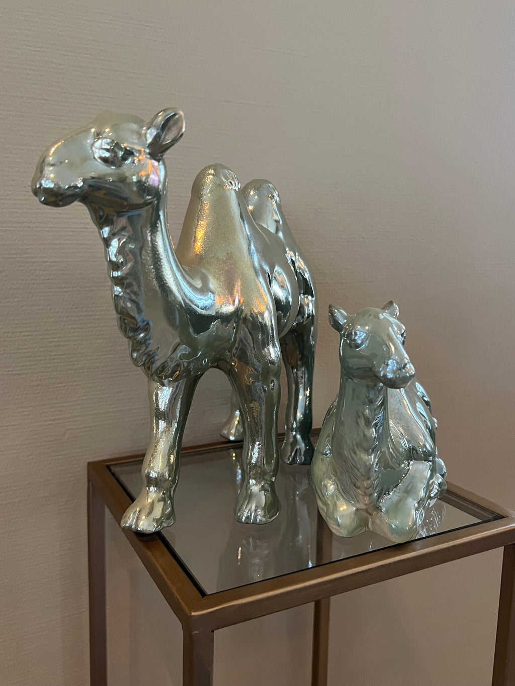 PTMD beelden set kamelen