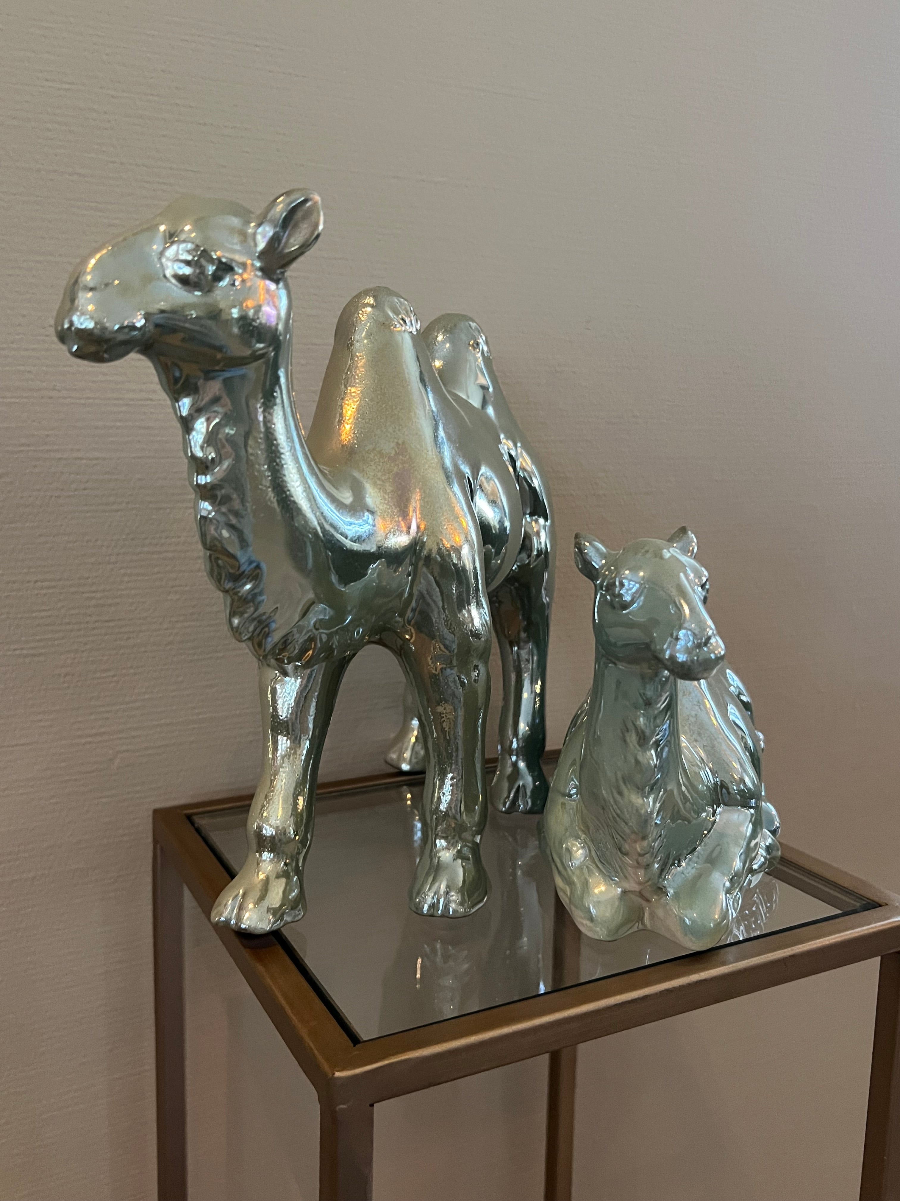 PTMD beelden set kamelen