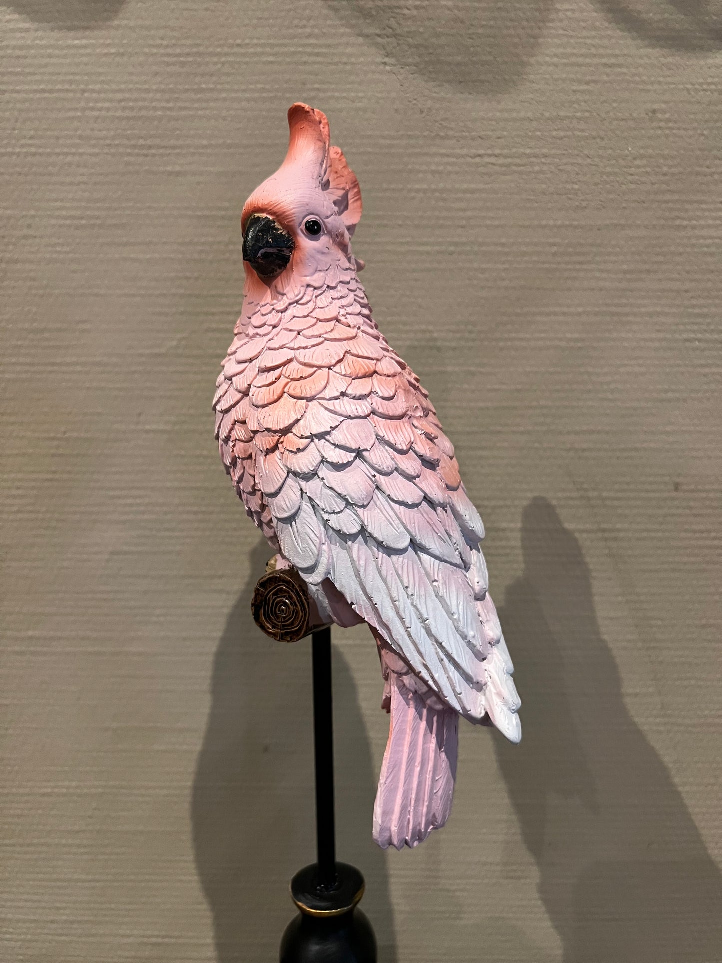 Roze kaketoe op zwarte voet